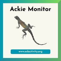 Ackie Monitor