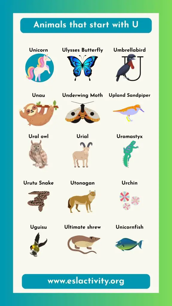 Animals that start with u