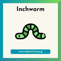 Inchworm