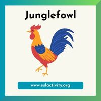 Junglefowl