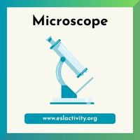 Microscope