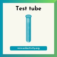 Test tube