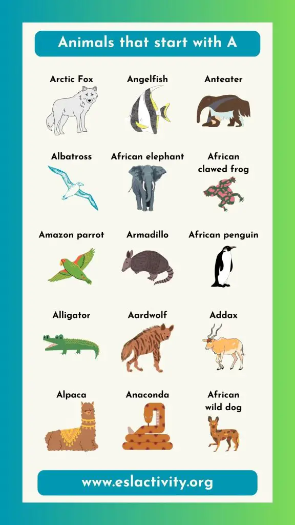 animals that start with A