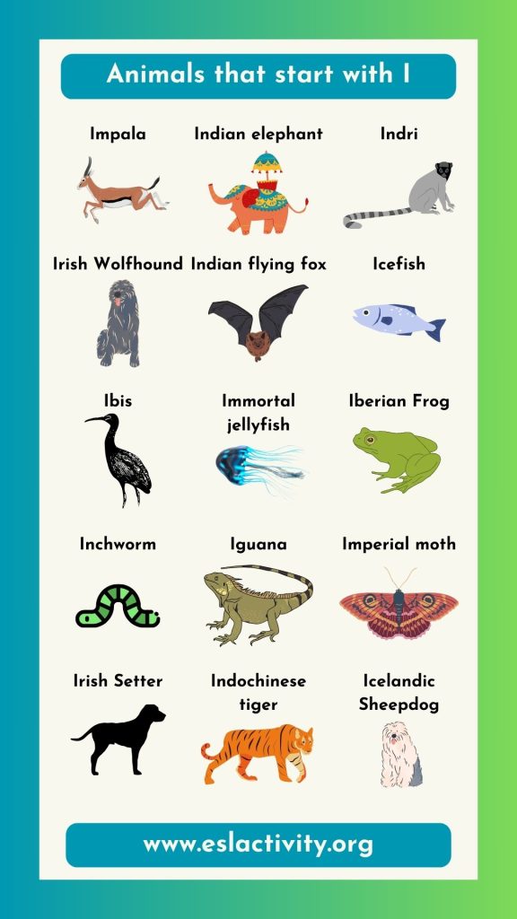 animals that start with I