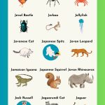 animals that start with J