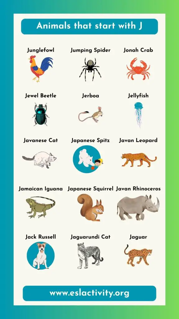 animals that start with J