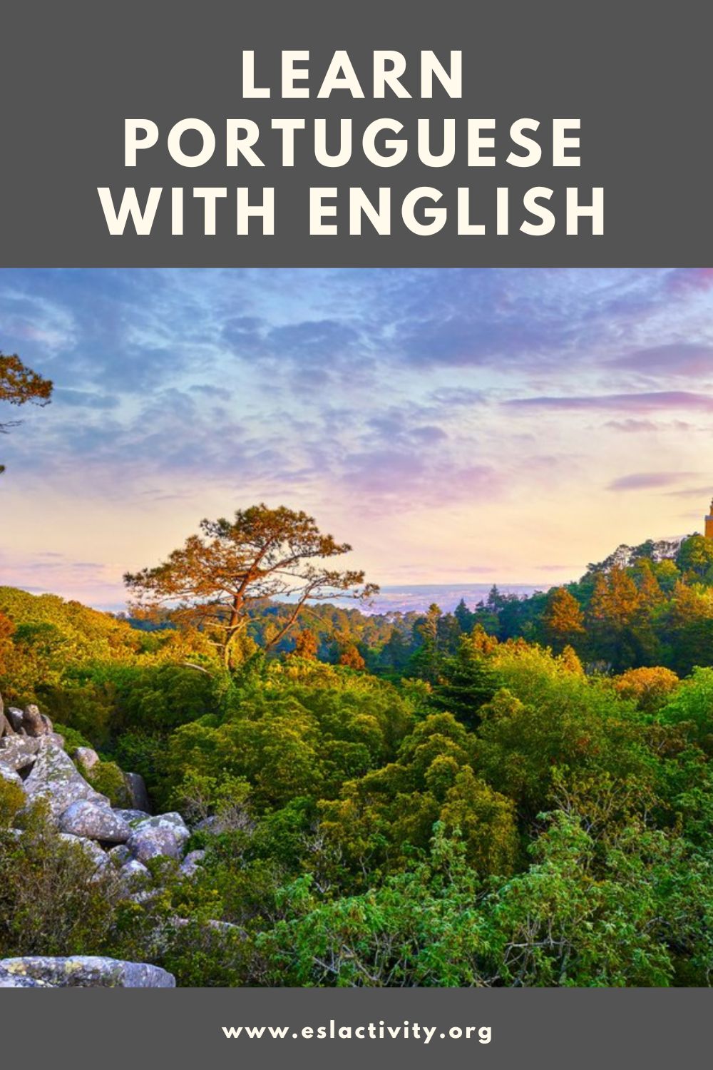 learn portuguese with English